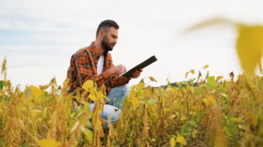 Bir çiftçi hasattan önce olgun bir soya tarlasında oturur, hazır olup olmadıklarını incelemek için kozaları inceler, sürdürülebilir çiftçiliğe bağlılığı örnek verir.