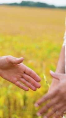 Soya tarlasında tokalaşan iki çiftçinin yakın plan görüntüsü, sürdürülebilir tarım ve tarım gelişimindeki ortaklık ve işbirliğini simgeliyor