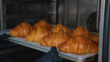 Yeni pişmiş kruvasanların ticari bir mutfakta siyah eldiven giyen bir fırıncı tarafından profesyonel bir fırından çıkarılışının yakın çekim görüntüsü..