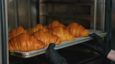 Bir fırıncının yakın çekimi eldivenli eller profesyonel bir mutfakta ticari bir fırından taze pişmiş altın kruvasan tepsisi çıkarıyor..