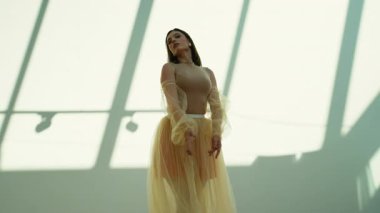 Şık kıyafetli güzel yetenekli bir kadın zarif ve şehvetli bir dans sergiliyor. Büyük bir pencereden gölgelerle zarif ve pürüzsüz bir şekilde stüdyoda dans ediyor.