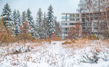 Kış sokağı karlı. Güzel kış ağaçları, bol karlı dallara sahiptir. Temizlenmemiş şehir sokakları
