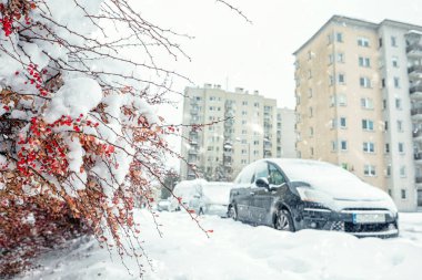 Kar yağdıktan sonra Krakow 'da sokaklar, karla kaplı bitkiler ve binalar