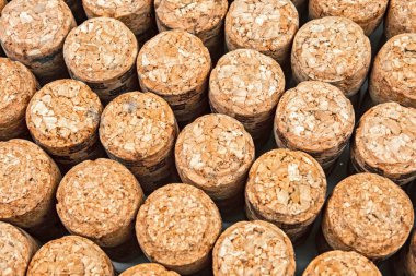 Şarap mantarı dokusu. Üst Manzara. metin için yer