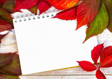 Sonbahar arkaplanı. Tahta bir zeminde kırmızı yapraklar. mesaj için yer. kırmızı sarmaşık yaprakları ve tahta arka planda bir not defteri. Üst Manzara. Düz yatıyordu. Sonbahar bileşimi.