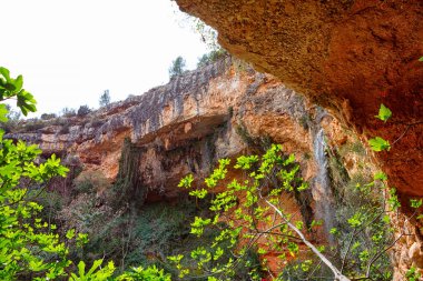 Parlak yeşil yapraklar ve engebeli araziyle çerçevelenmiş kayalık uçurumlarda güzel bir şelale yavaşça akar..
