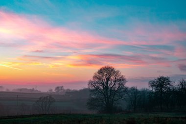 günbatımı alanında. güzel sonbahar sisli manzara Ukrayna Köyü