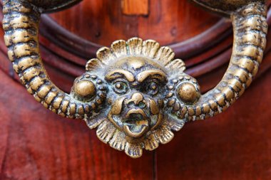 A detailed brass door knocker shaped like a lions head is mounted on a rustic wooden door. The intricate design adds character to the entrance.