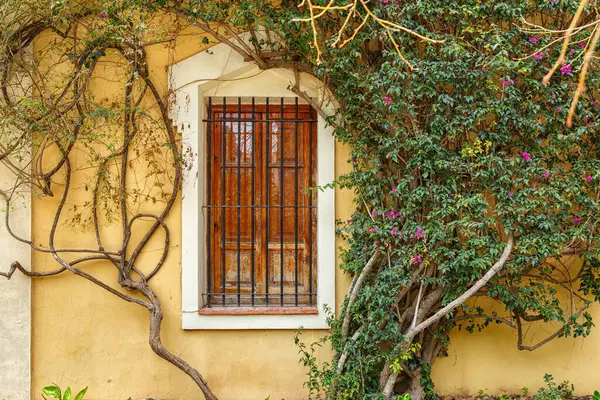 İspanya, Valencia, 29 Mart 2024: Mexico City 'de güzel tarihi binalar, bereketli ağaçlar ve güzel bir şehir manzarası yaratan uzun bir saat kulesi bulunmaktadır..