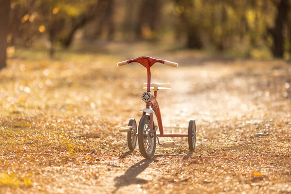 Vintage Rower Odkryty Jesiennym Parku Tle Rozmazanych Liści — Zdjęcie stockowe