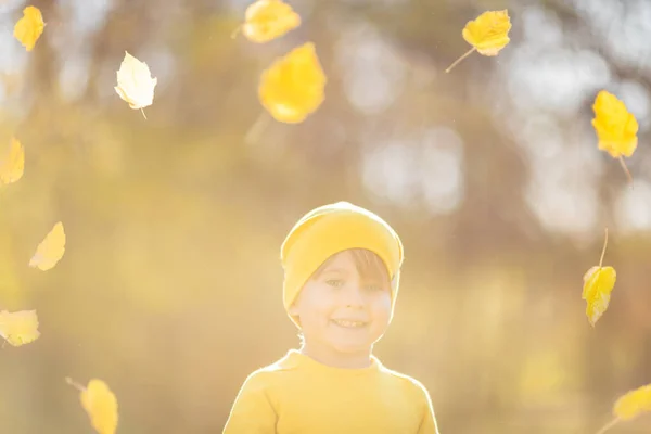 在黄叶背景下 快乐孩子的画像 在秋天的公园里 孩子们在外面玩得很开心 自由和想象的概念 — 图库照片