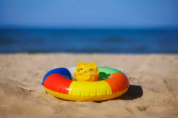 海滩上的皮格班克沙地上的猪滩 背景为背景的钱箱 暑假和旅行概念 免版税图库图片