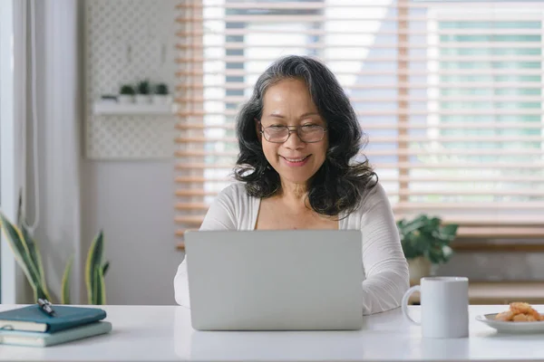 The Senior businesswoman adviser is analyzing and discussing the financial report situation on laptop in her home office, financial, accounting, and investment advisor concepts
