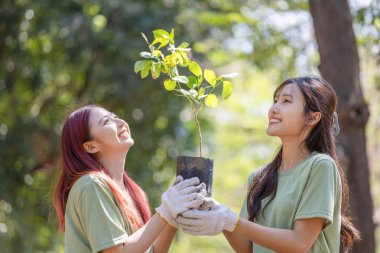Gönüllüler Dikim Ağaçları 'na hazırlanıyor, genç bayan ekip gönüllü ağaç dikiyor, gönüllü kadınlar yardım etkinliği için parkta.