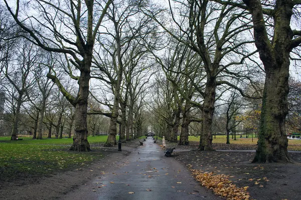 Yeşil Park, Londra, İngiltere'de çıplak ağaçlar çevrili boş iz
