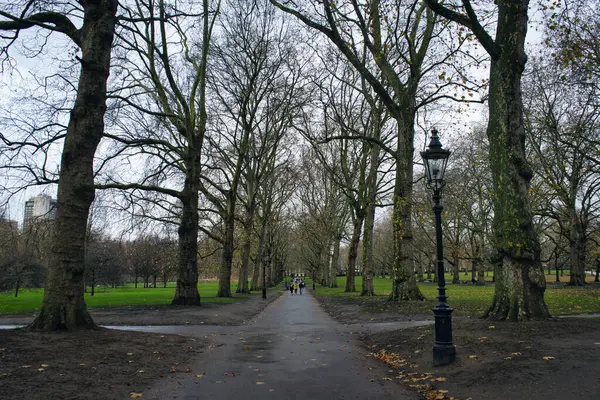 Yeşil Park, Londra, İngiltere'de çıplak ağaçlar çevrili boş iz