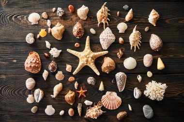 Koyu ahşap arka planda deniz yıldızları ve deniz yıldızları koleksiyonu, düz yatış, üst manzara. Yaz tatili, deniz tatili, seyahat konsepti