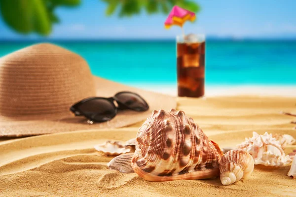 Koncept Letních Prázdnin Slaměný Klobouk Mušle Písečné Pláži Mořském Pozadí — Stock fotografie
