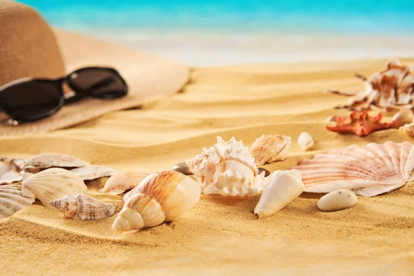 Koncept Letních Prázdnin Slaměný Klobouk Mušle Písečné Pláži Mořském Pozadí — Stock fotografie