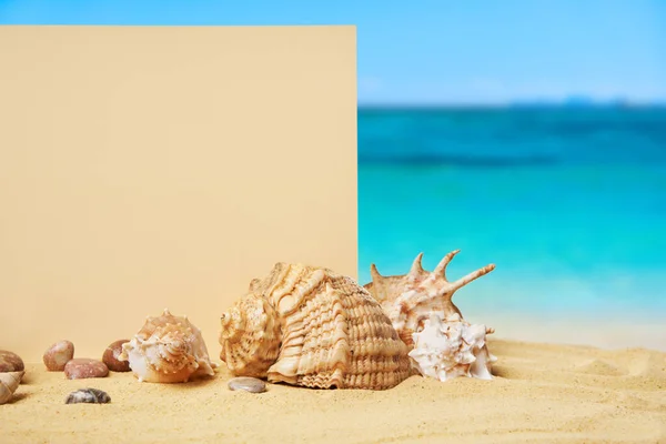 在大海背景的夏季沙滩上 用海贝和海星做为邀请卡或贺卡的模特 度假概念 复制空间 — 图库照片