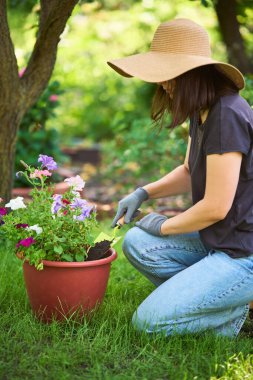 Bahçeye çiçek eken kadın bahçıvan arka bahçedeki çiçekleri önemser. Bahçecilik ve çiçekçilik.