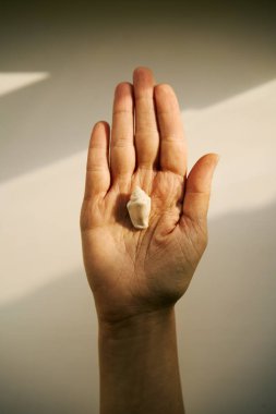 Gün ışığında küçük deniz kabuğunu tutarken elini aç. Estetik konsept