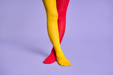 Mor stüdyo arka planına karşı sarı ve kırmızı taytlı uzun ince kadın bacakları..