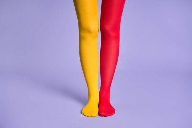Mor stüdyo arka planına karşı sarı ve kırmızı taytlı uzun ince kadın bacakları..