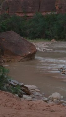 Utah 'taki Zion Ulusal Parkı' nın sarp duvarlarıyla çevrili Virgin Nehri 'nin yavaş çekim videosu.