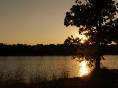 Suya yansıyan güzel bir günbatımı olan ağaçların silueti.