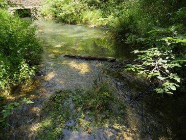 Su, Antelope Springs 'ten Chickasaw Ulusal Eğlence Bölgesi, Oklahoma' daki Travertine Creek 'e akar..