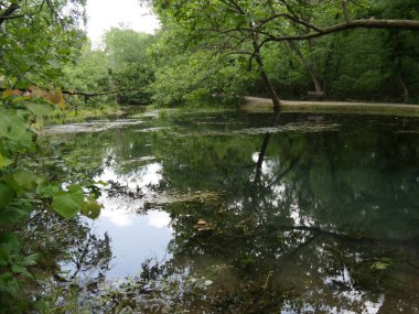 Antilop Pınarı 'ndaki bir lagünün geniş açılı görüntüsü ağaçları yansıtıyor, Chickasaw Ulusal Eğlence Bölgesi.. 