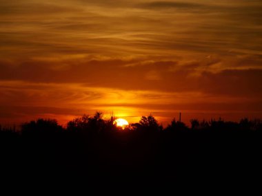 Ateşli gökyüzü ve güzel bir gün batımı. Yarı ağaçların gölgesinde saklı..  