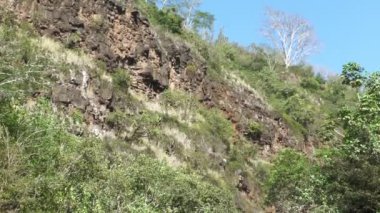 Oahu, Hawaii 'de popüler bir çekim yeri olan Waimea Falls' un aşağı doğru görüntüleri..