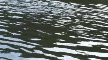 Suyun sabit görüntüsü dalgalanmalar ve yansımalar yaratır. 