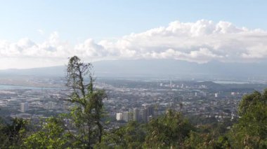 Arka planda Honolulu 'lu genç bir ağacın sabit görüntüleri, Tantalus Gözcü 