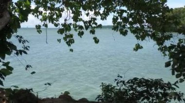 Mavi suları ve ağaç yapraklarıyla çerçevelenmiş kaya adaları ile kıyı manzarası