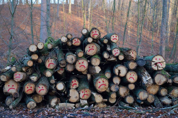Funny face on a pile of firewood in the forest.