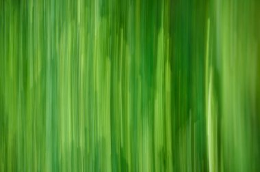 Abstract motion blur effect. Green blurred background. Abstract motion blur background.