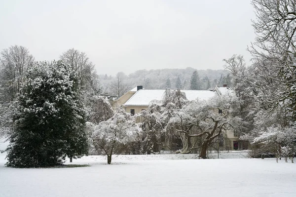 Snowy winter landscape with trees in the foreground and old house behind