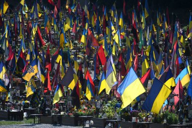 Lviv, Ukraine - August 29, 2023: Military cemetery of Ukrainian soldiers killed during combat with Russian troops.