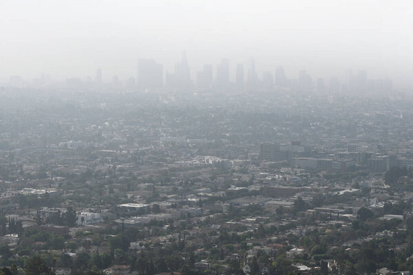 Los Angeles, California, USA - July 30, 2023: Los Angeles cityskipe in the fog.
