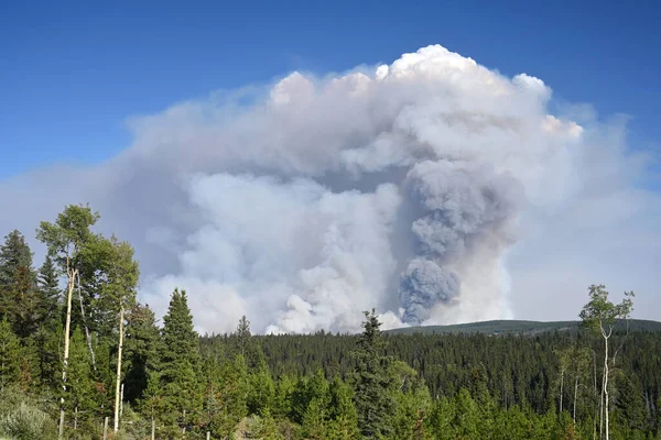 Fogo Selvagem Fumaça Incêndio Céu Acima Floresta — Fotografia de Stock