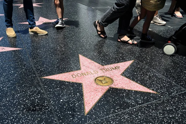 美国加利福尼亚州洛杉矶 2023年7月29日 唐纳德 特朗普在洛杉矶好莱坞名人堂中的明星 — 图库照片