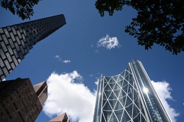 Calgary, Alberta, Kanada - 10 Ağustos 2023 Calgary şehir merkezi. Gökdelenler Calgary şehri. 