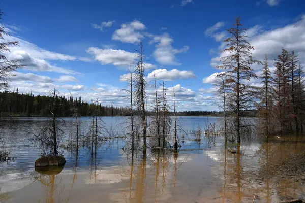 Paisagem Canadá Com Lago Paisagem British Columbia — Fotografia de Stock