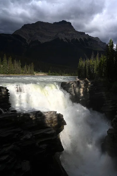 Водопад Атабаска Водопад Национальном Парке Джаспер Альберта Канада — стоковое фото