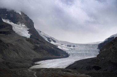Columbia Icefield Banff Ulusal Parkı ve Jasper Ulusal Parkı Alberta, Kanada. 
