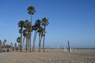 Los Angeles, Kaliforniya, ABD - 29 Temmuz 2023 İnsanlar Santa Monica plajında dinleniyor.