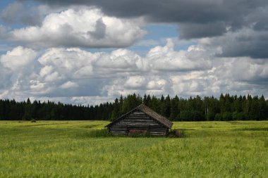 Lapland, Finlandiya 'da kulübesi olan bir manzara. Ormanda ahşap kulübesi olan tipik Finlandiya manzarası 